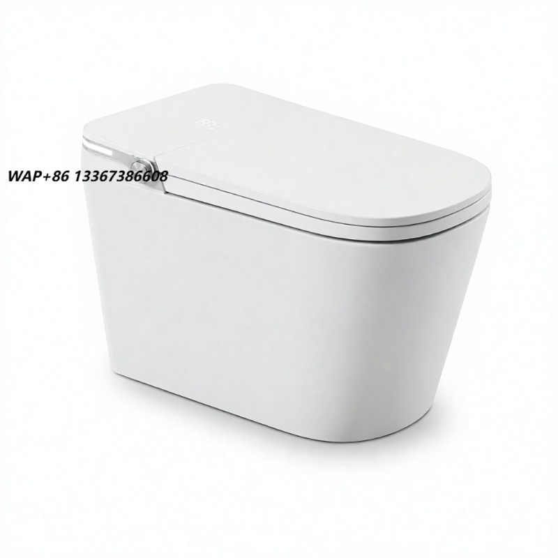 화이트 스마트 변기 사각형 변기 바닥 설치형 온열 시트 - Home Bathroom Toilet 리뷰 및 가격