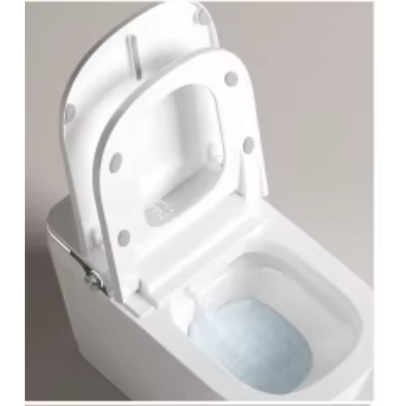 화이트 스마트 변기 사각형 변기 바닥 설치형 온열 시트 - Home Bathroom Toilet 리뷰 및 가격