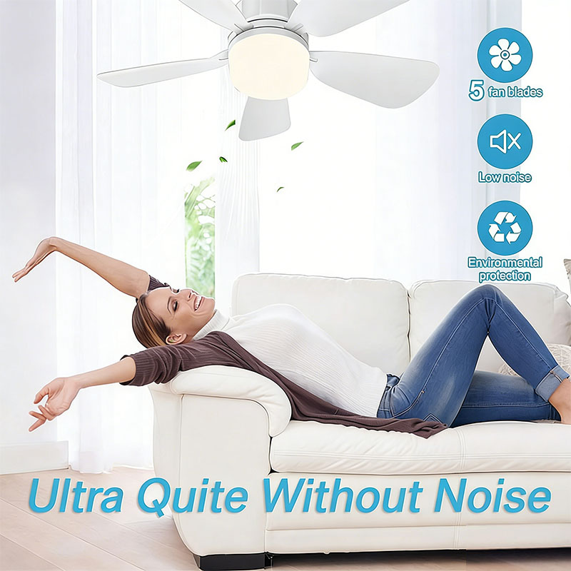 E27 나사 천장 팬 조명 원격 제어 85V-265V  - Home Bathroom Fan 리뷰 및 가격