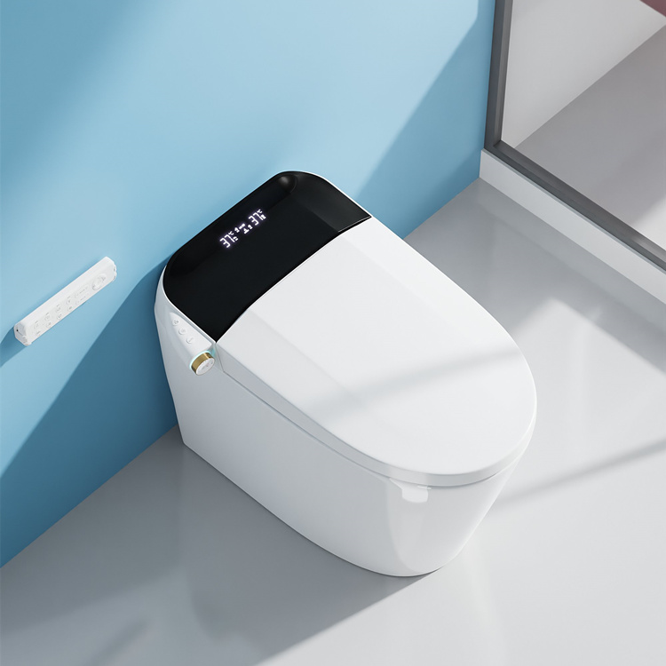 가정용 장식 욕실 스마트 전자 자동 플러시 센서 변기 - Home Bathroom Toilet 리뷰 및 가격
