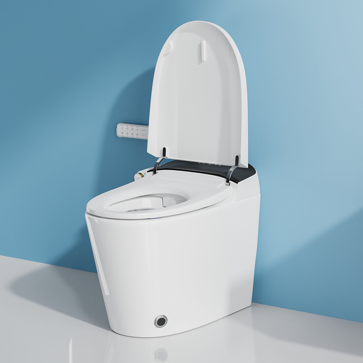 가정용 장식 욕실 스마트 전자 자동 플러시 센서 변기 - Home Bathroom Toilet 리뷰 및 가격